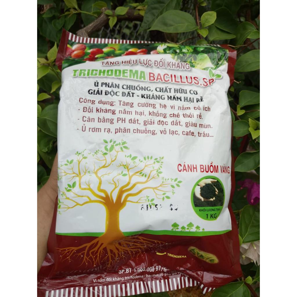 TĂNG HIỆU LỰC ĐỐI KHÁNG TRICHODERMA-BACILLUS. 1kg