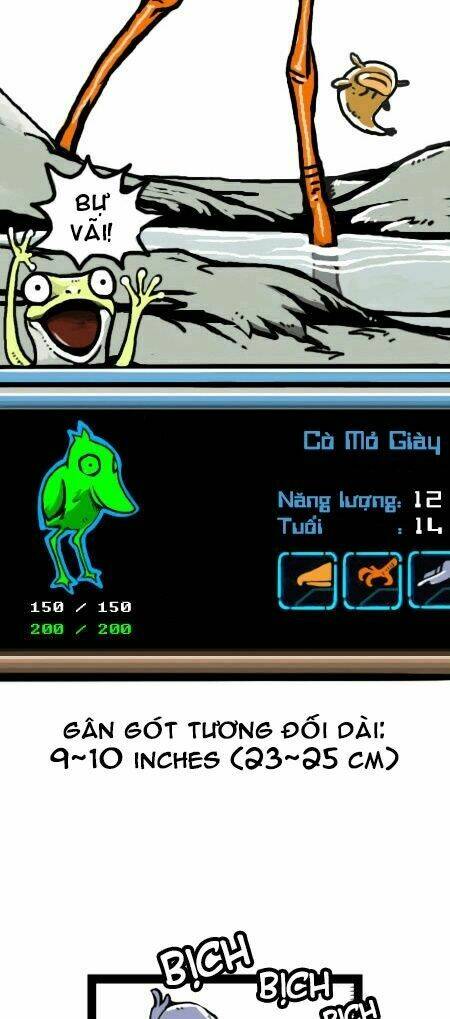 earth, human, and animal chapter 14 15