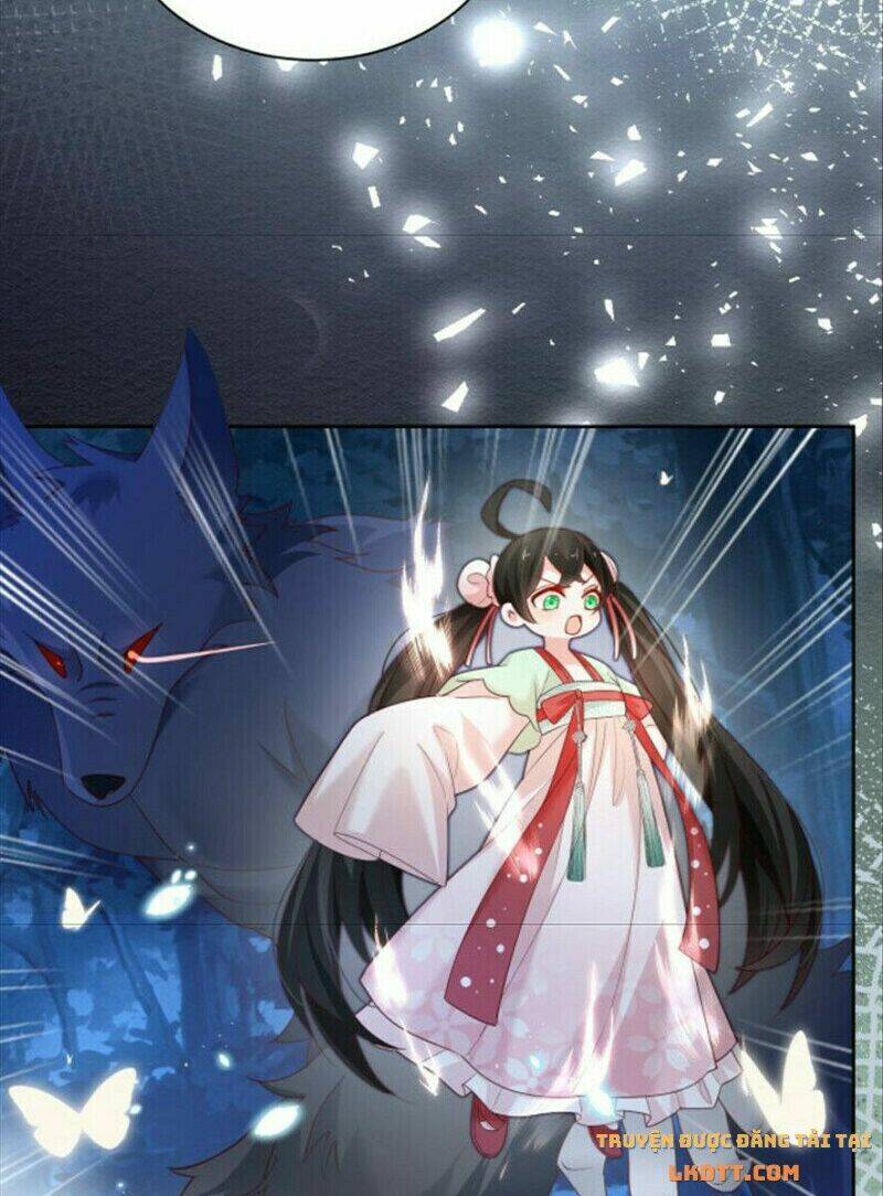 hắc hóa nam chính trực tuyến nuôi thỏ chapter 51 14