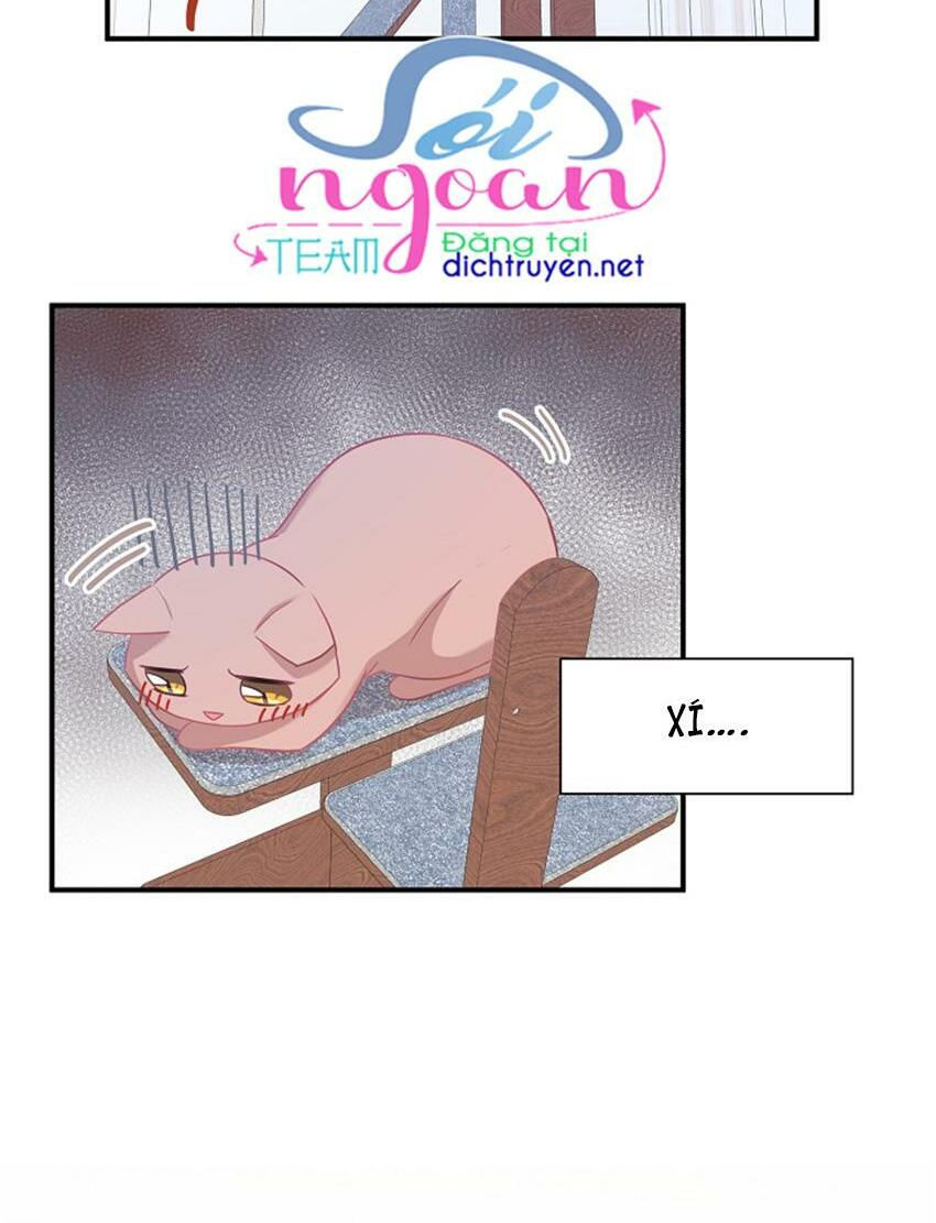 cuộc sống kỳ thú chapter 17 10