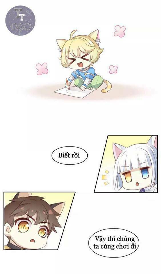 dưới móng vuốt mèo chapter 18 17