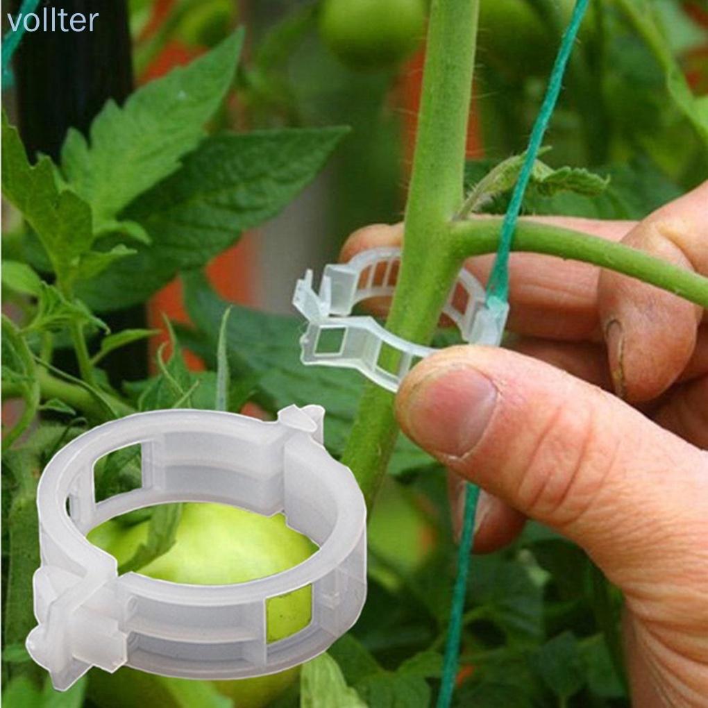 50PCS/Set Reusable Plastic Plant Support Clips Plants Hanging Vine Garden Greenhouse Vegetables Tomatoes Clip -VOLLTER