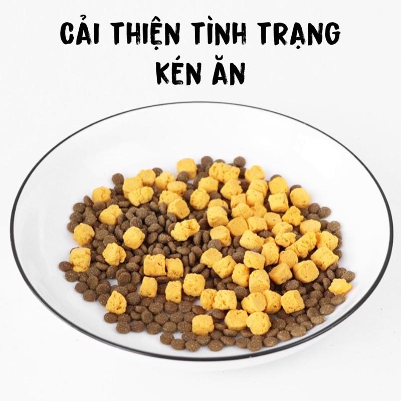 Bánh thưởng dinh dưỡng cải thiện lông, hỗ trợ kén ăn cho chó mèo