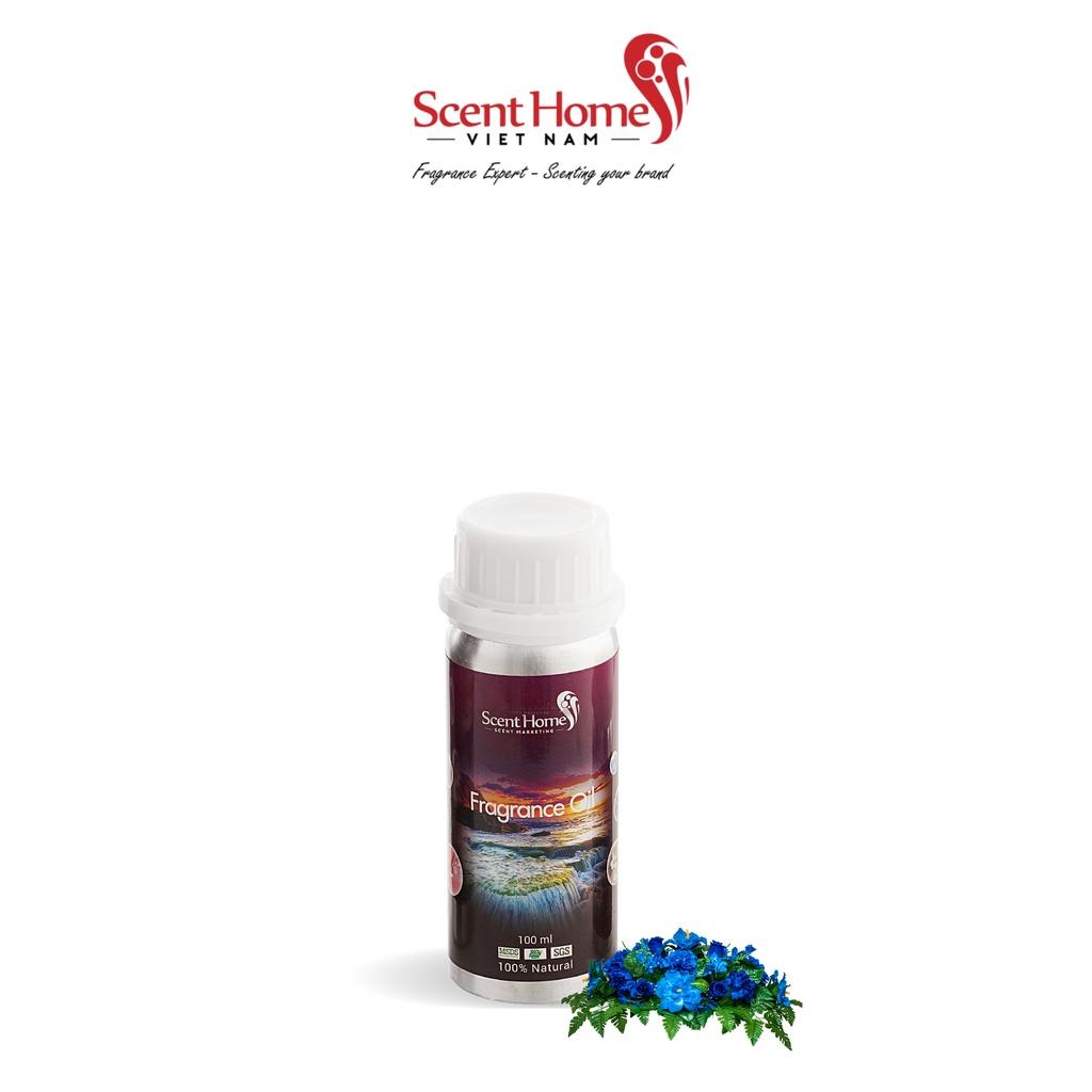 Tinh dầu Scent Homes - mùi hương (Blue Paria)