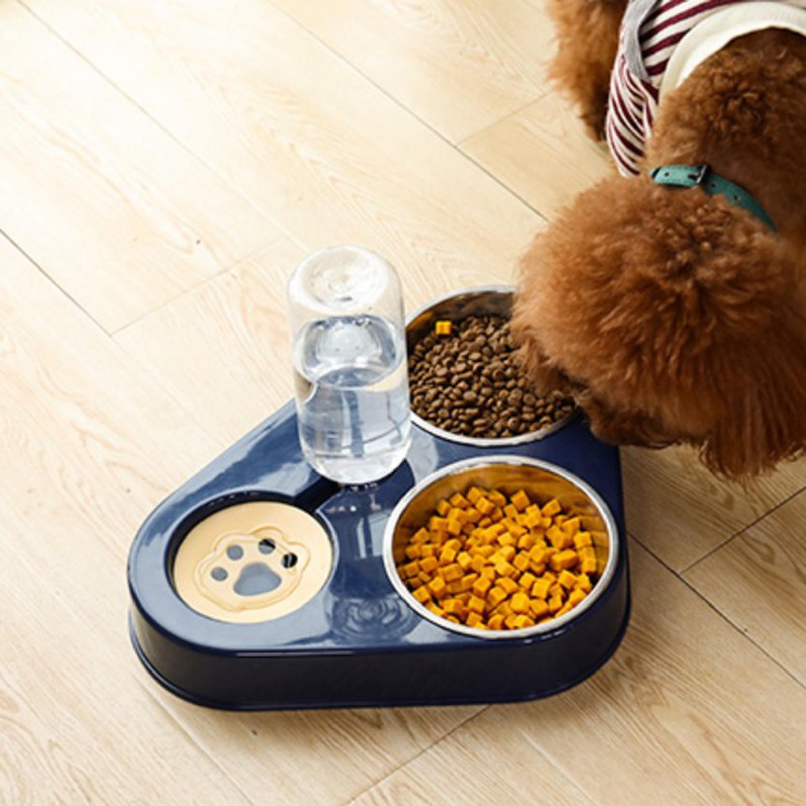 Automatic Water Dispenser & Food Bowl Set Stainless Steel Bowl Dark Blue