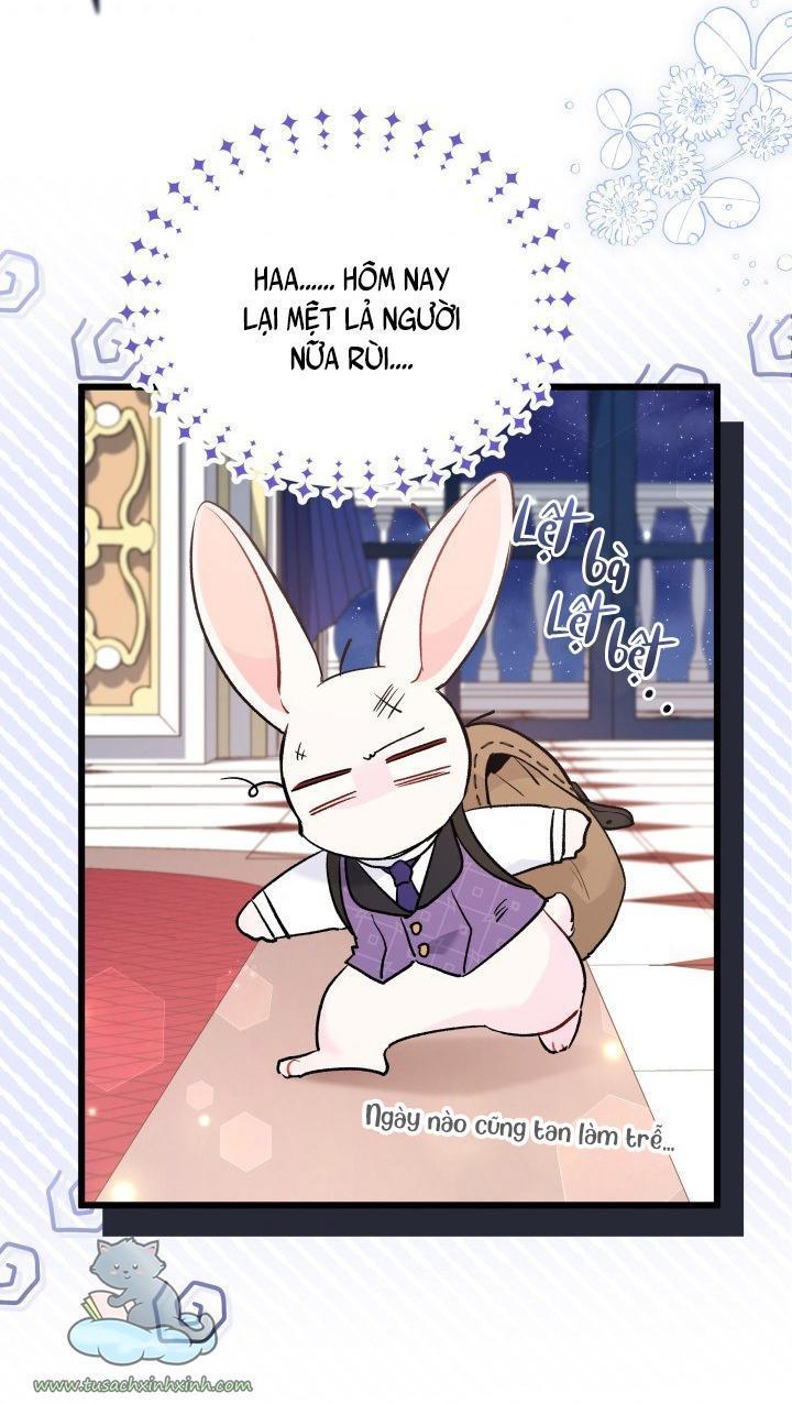quan hệ cộng sinh giữa báo đen và thỏ trắng chapter 57 3