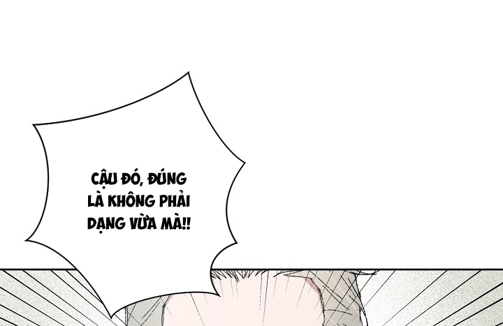 Chàng Tuấn Mã Của Tôi chapter 25