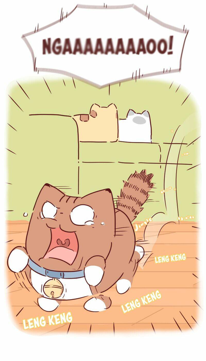 saphie: chú mèo một mắt chapter 28 12