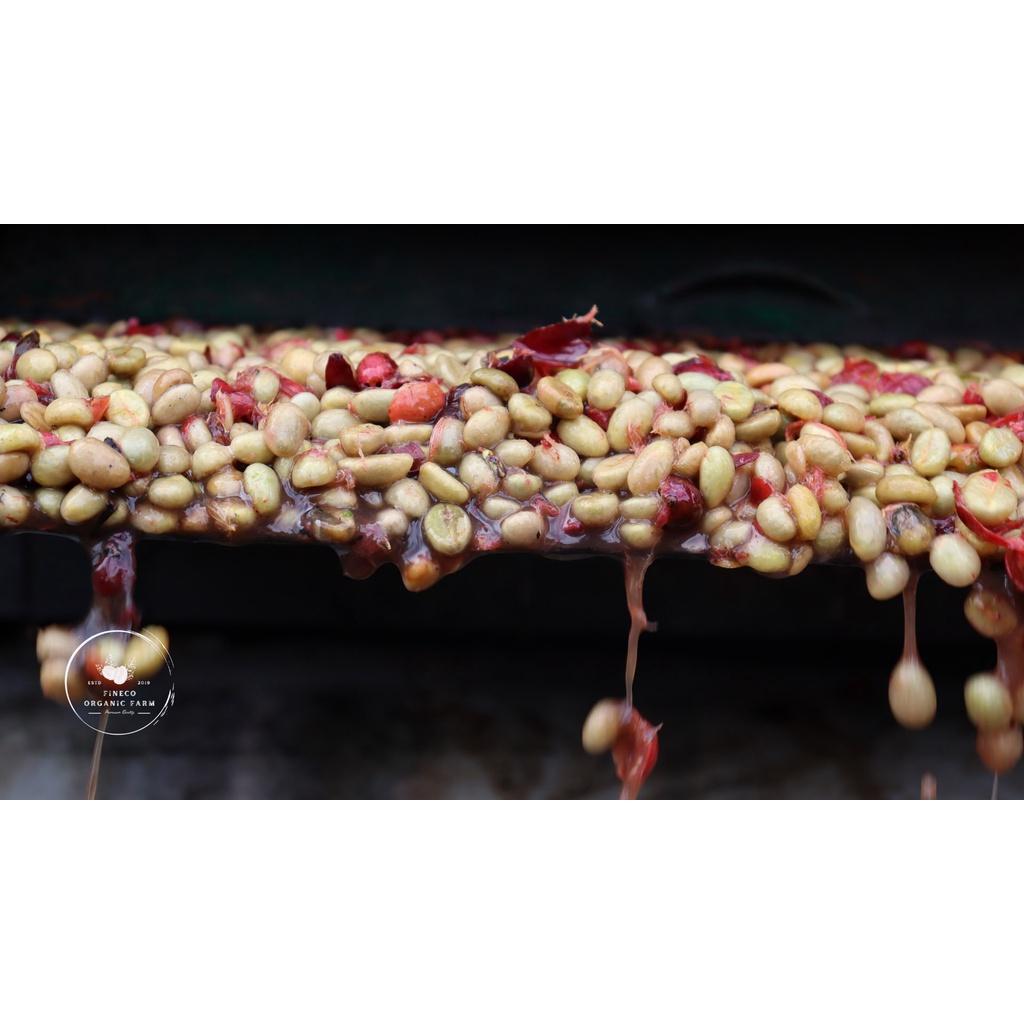 BLEND - Phong vị ngọt ngào, hương trái cây, hậu vị ngọt dài lâu. Cà phê pha phin/pha máy |500gr|