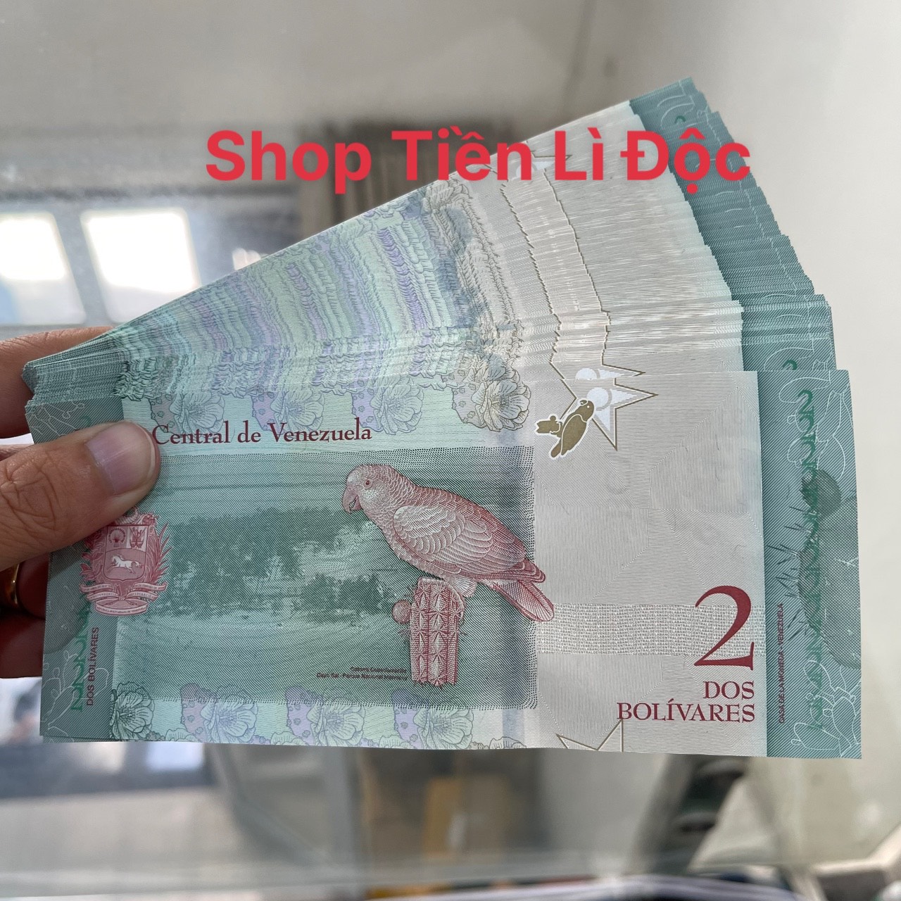 Sỉ Combo 100 Tờ Tiền Lì Xì Hình Con Vẹt Của Venezuela 2 Bolivares