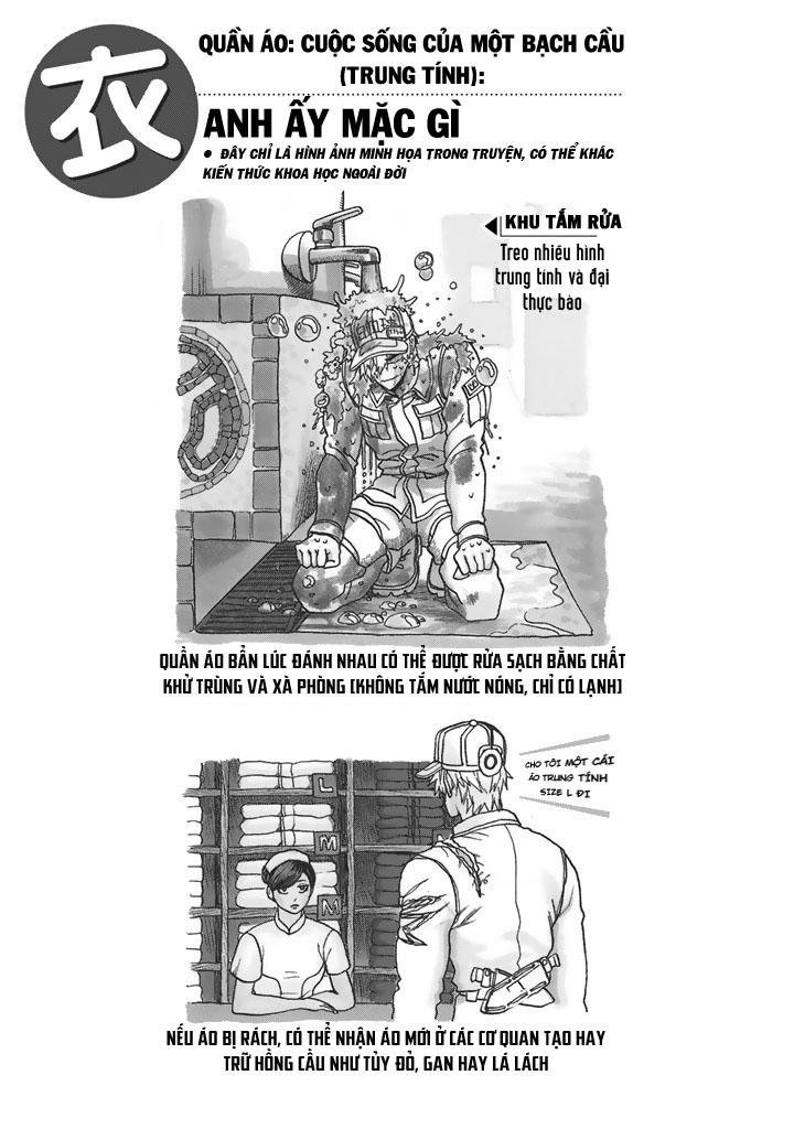 hataraku saibou! chapter 20 46