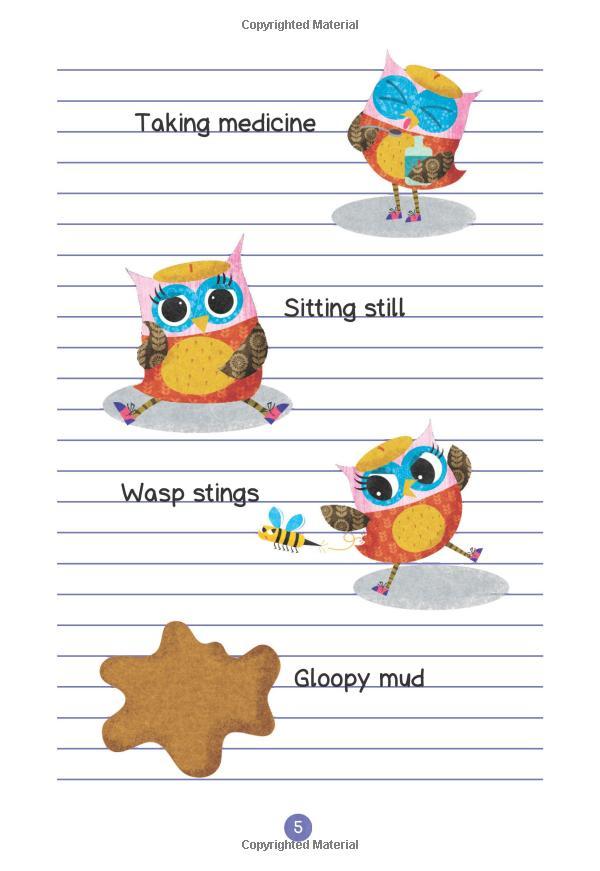 Sách ngoại văn: OWL DIARIES #8: EVA AND THE LOST PONY