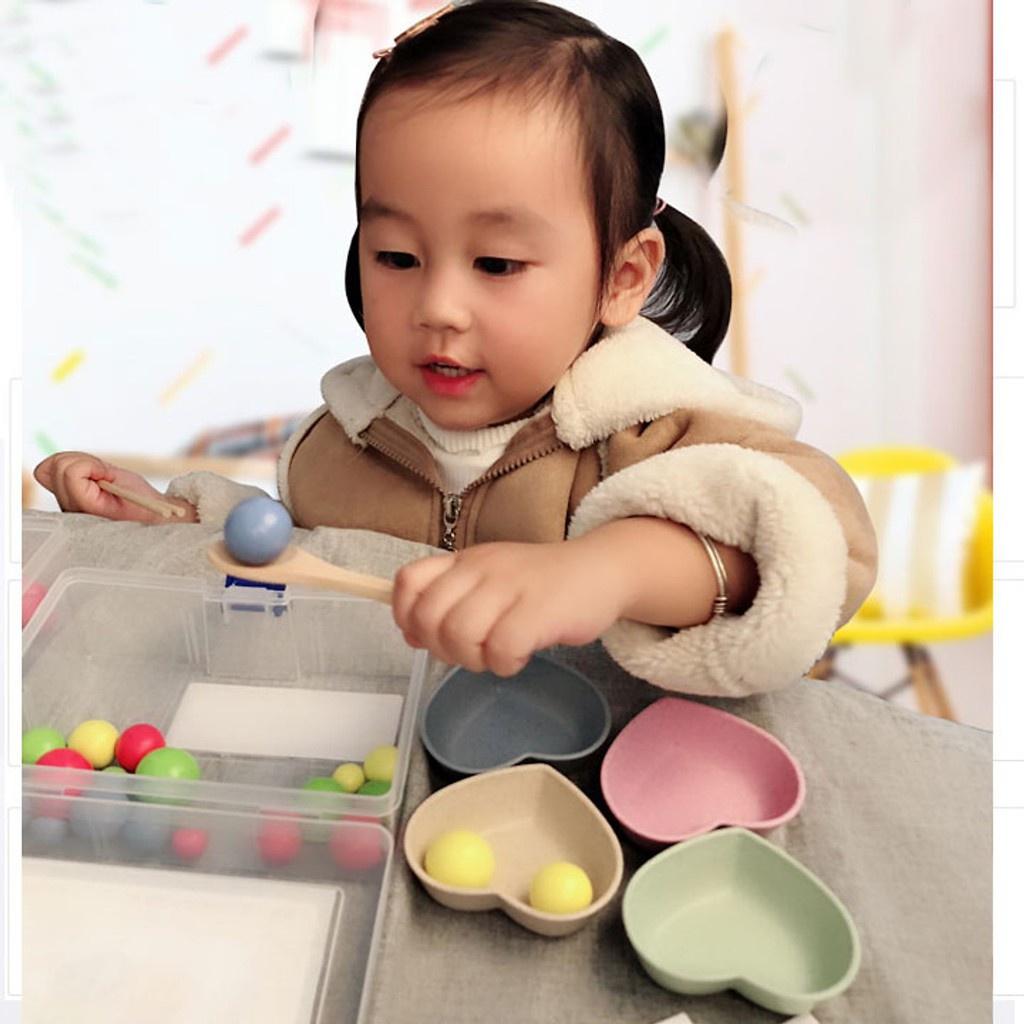 Đồ Chơi Gắp Bi Gỗ - Giáo Cụ Montessori Luyện Vận Động Tinh Cho Bé