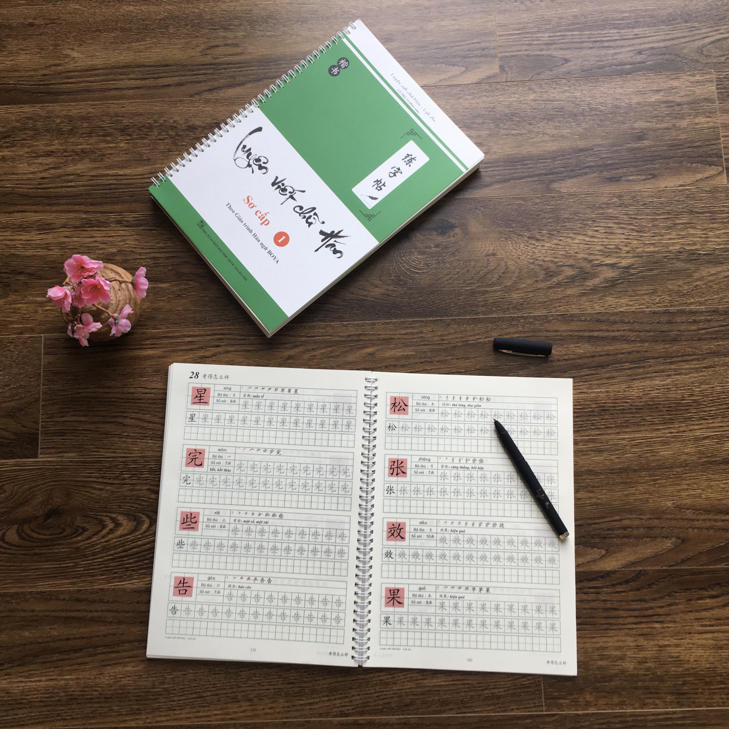 Luyện viết chữ Hán Sơ cấp 1
