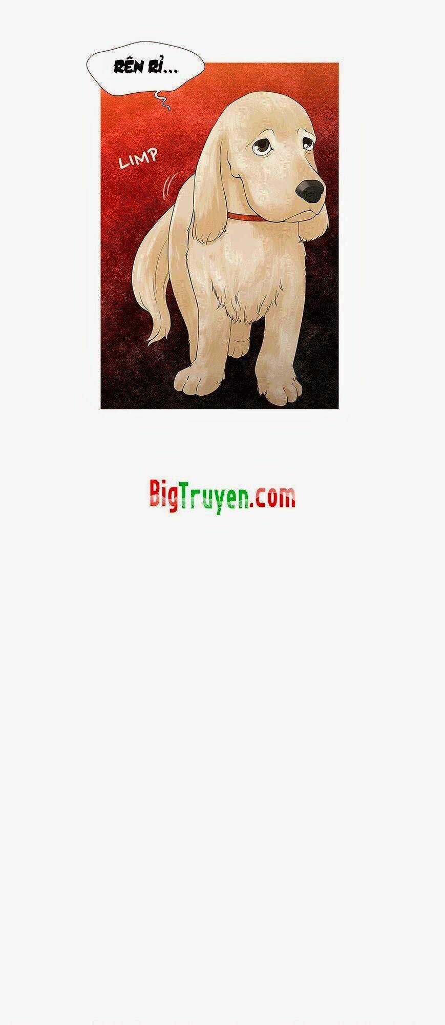 trái tim của một người bạn chapter 12 11