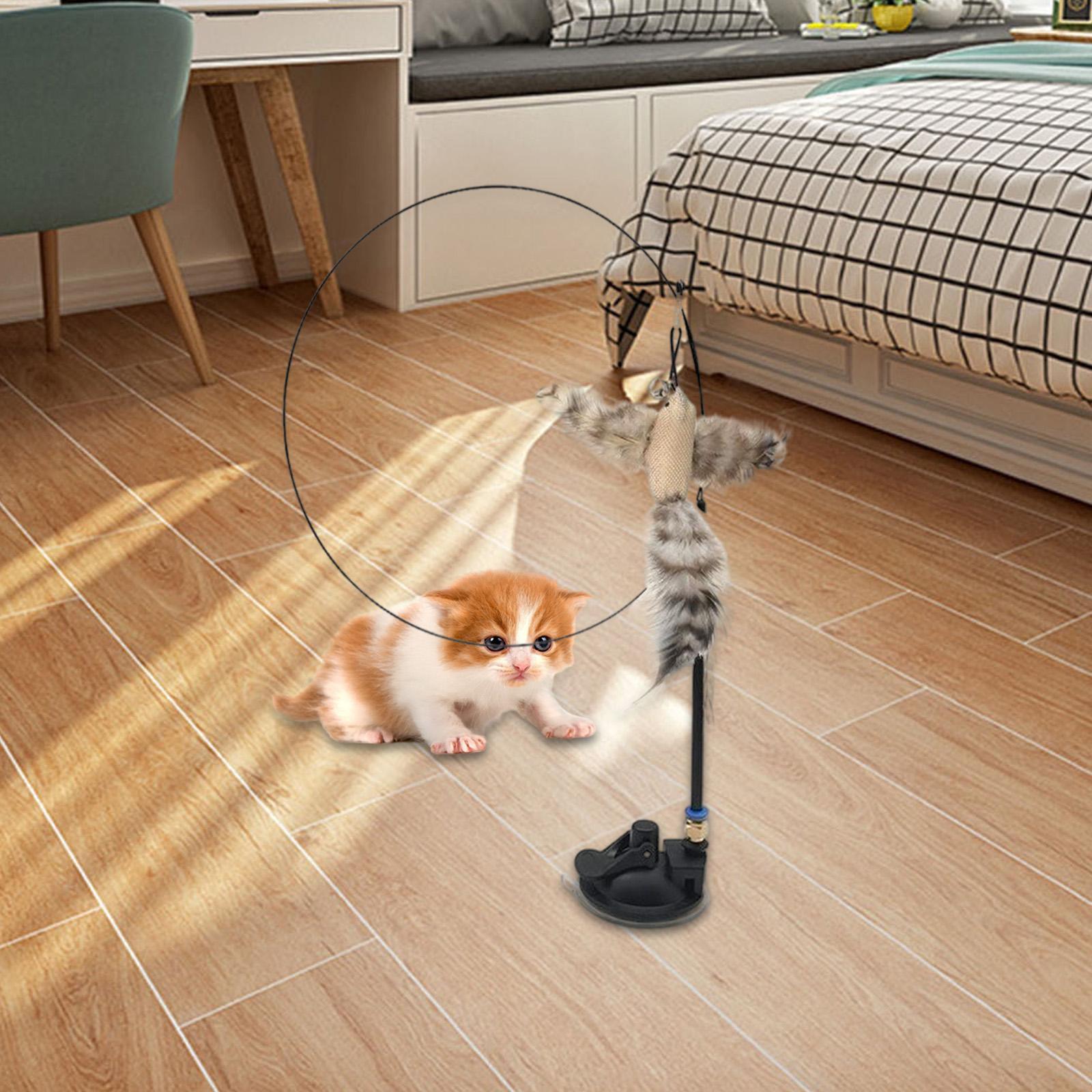 Cat Feather Toy Interactive Teaser  with  Kitten Indoor Exercise