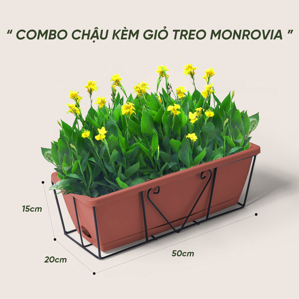 Combo chậu nhựa trồng cây chữ nhật kèm giỏ treo hoa ban công Monrovia, chậu trồng rau, khay trồng rau, trồng hoa