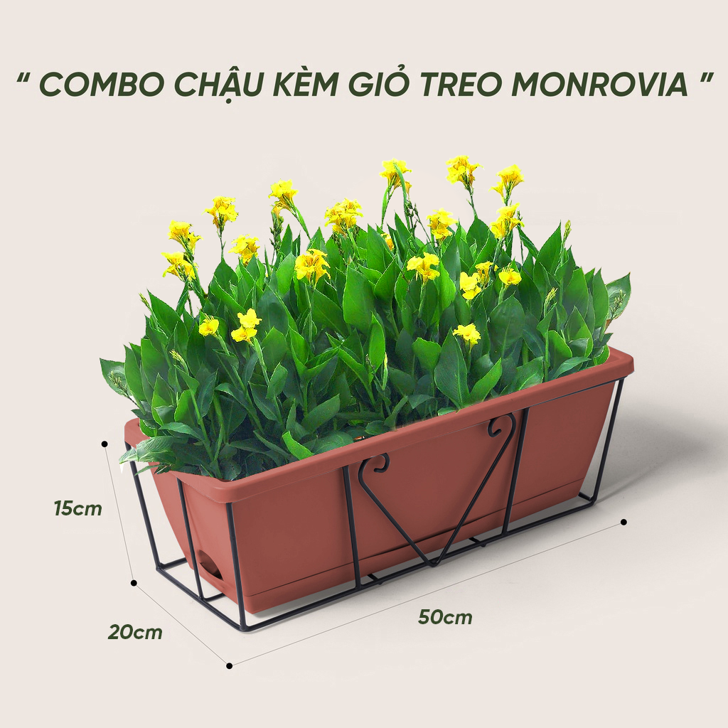 Bộ chậu trồng cây chữ nhật kèm giỏ treo Monrovia, chậu trồng hoa, cây cảnh, chậu treo ban công, treo tường, siêu bền bỉ