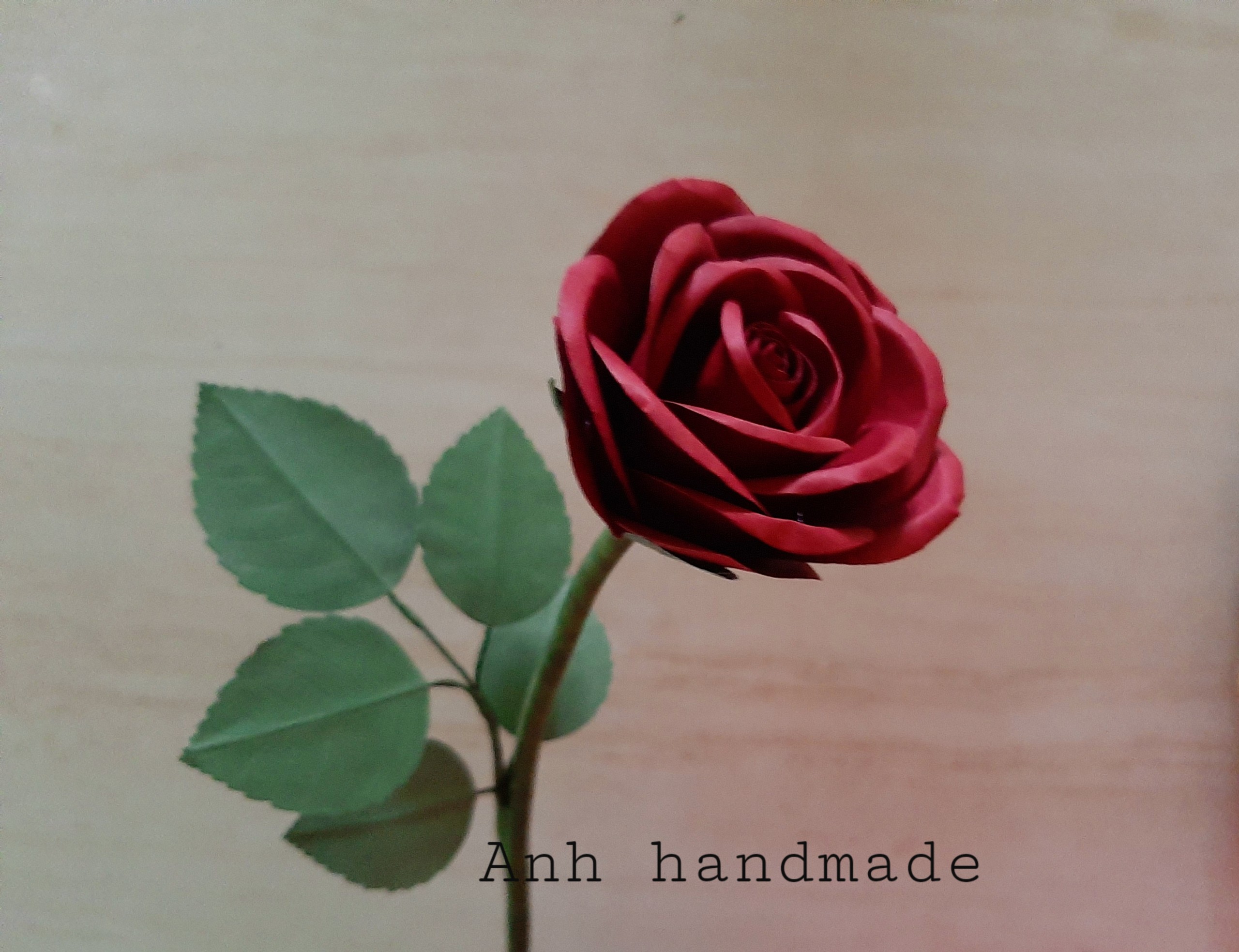 Set nguyên liệu cắt sẵn làm 10 đầu hoa hồng nhung bằng giấy mỹ thuật có kèm đài hoa