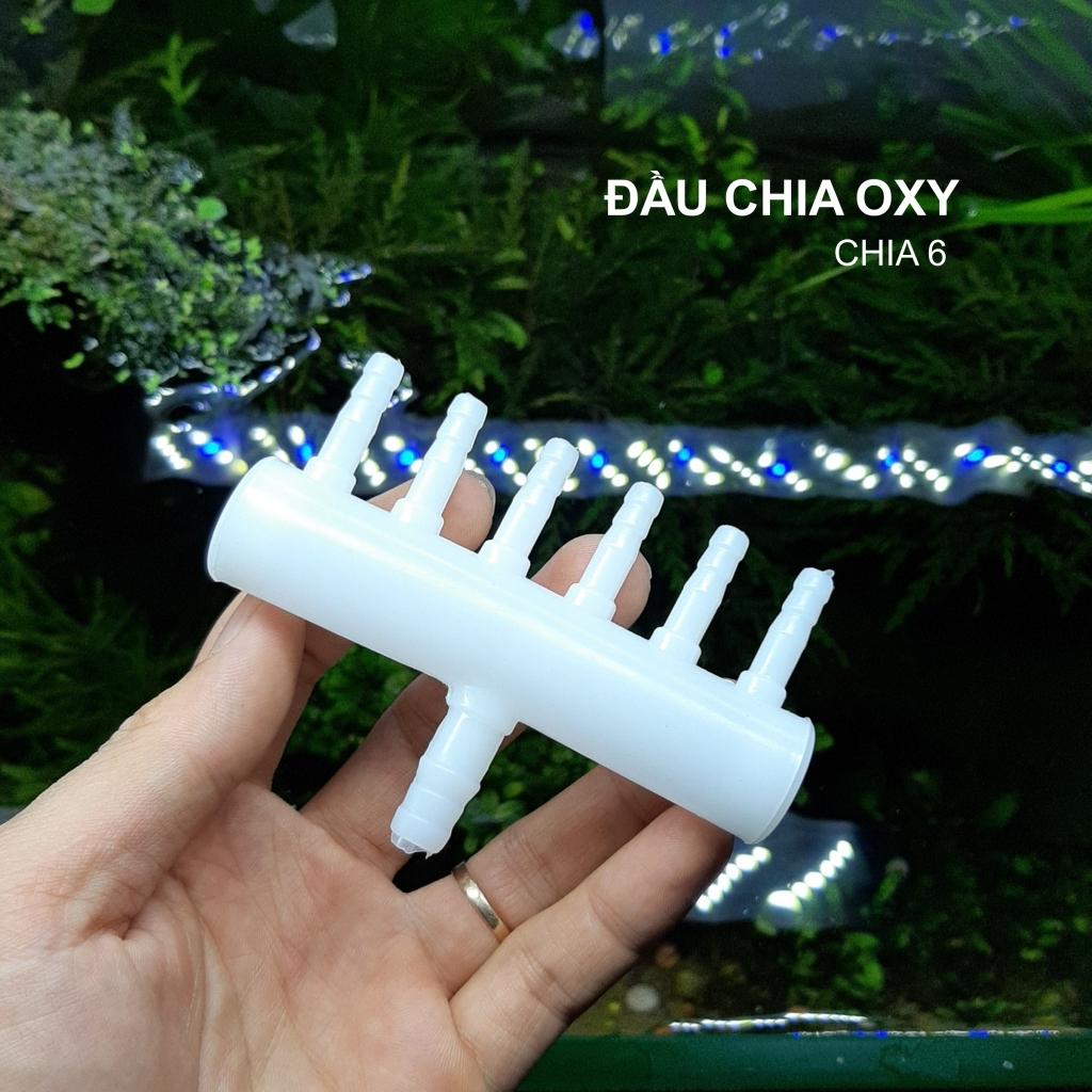 Van Chia Oxy - Đầu Chia 4 | 6 | 8 | 10 | 16 | 20 - Chia Ống Oxy Bể Cá Cảnh Thuỷ Sinh