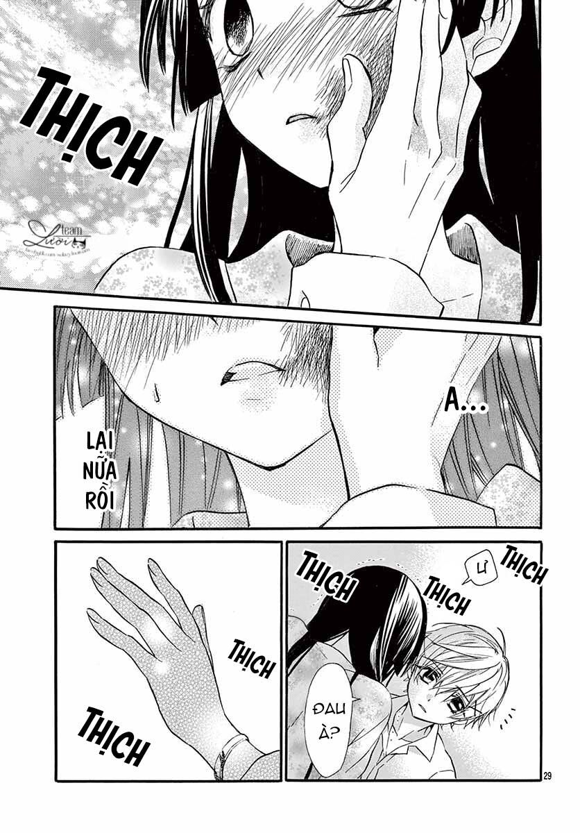 chàng rể giả nhân giả nghĩa chapter 4 29