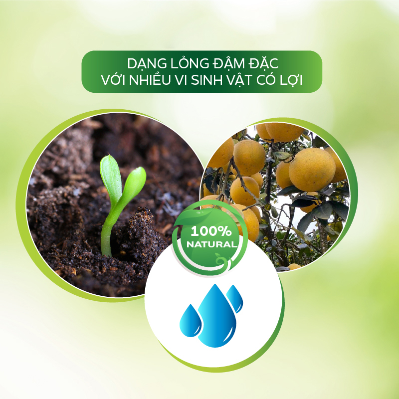 Dinh Dưỡng Sinh Học AT Vi Sinh Đậm Đặc 1 Lít Kích Thích Ra Hoa Đậu Trái, Tăng Trưởng Toàn Diện Cho Cây