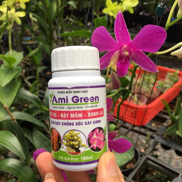 Phân bón sinh học giải độc cây trồng AMI GREEN.Chuyên dùng cho lan , hồng, cây kiểng Giúp tốt rễ, bật mầm, xanh lá chai 100ml.