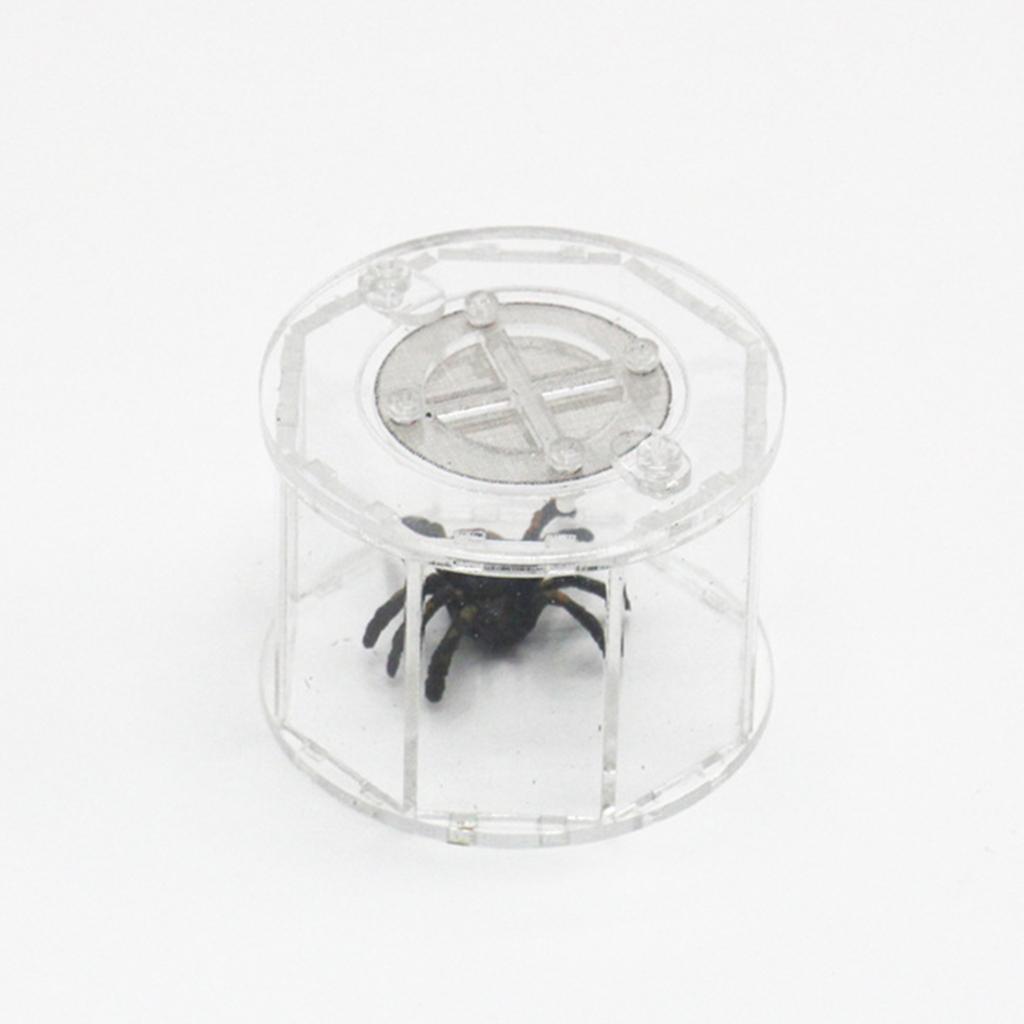 Spider Insect Reptile Tank Vivarium Cage Box Transparent Acrylic Terrarium