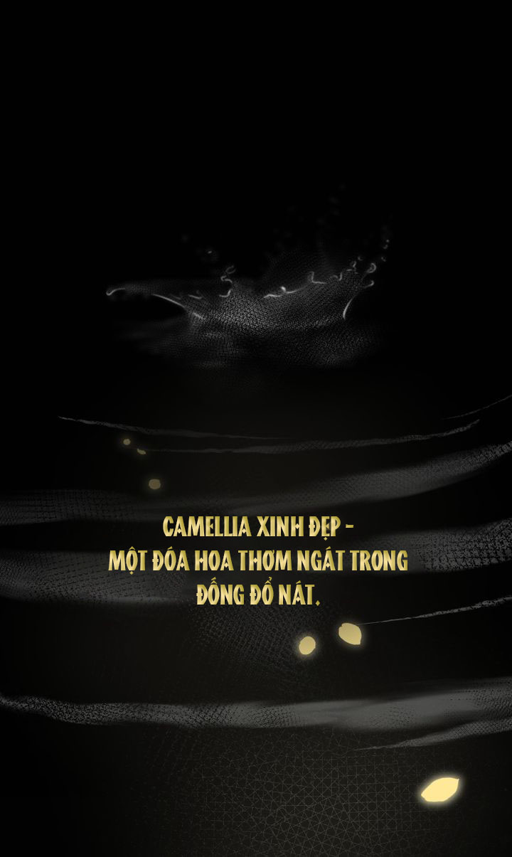 tìm lại nàng camellia chapter 0 14