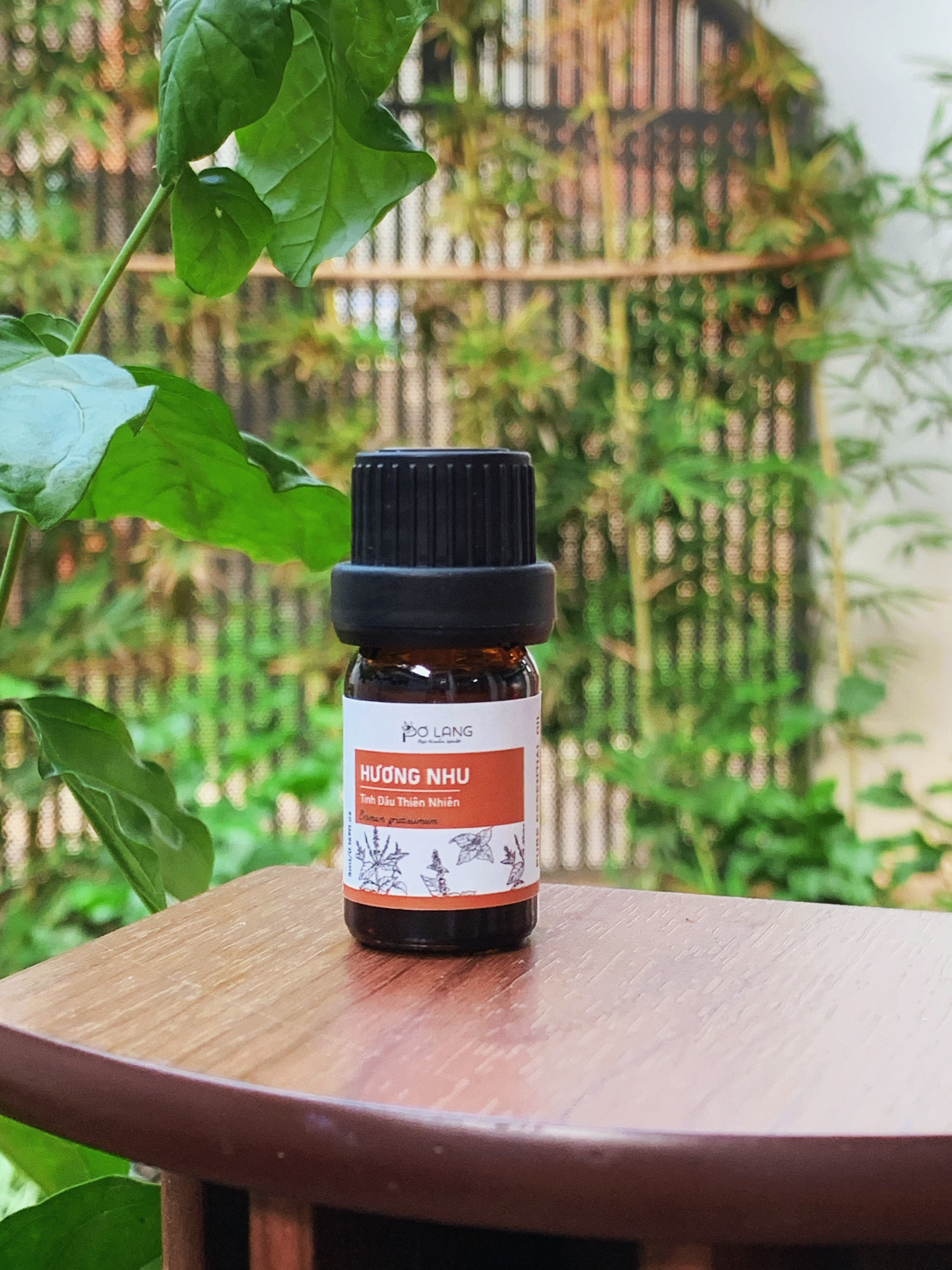 Tinh dầu hương nhu thiên nhiên giúp dưỡng tóc, giúp giải cảm, hỗ trợ giảm đau xương khớp