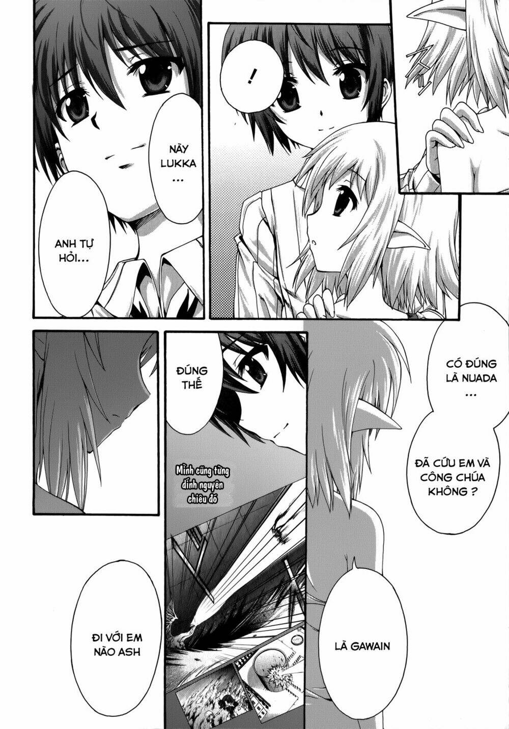 seikoku no dragonar chapter 23 22