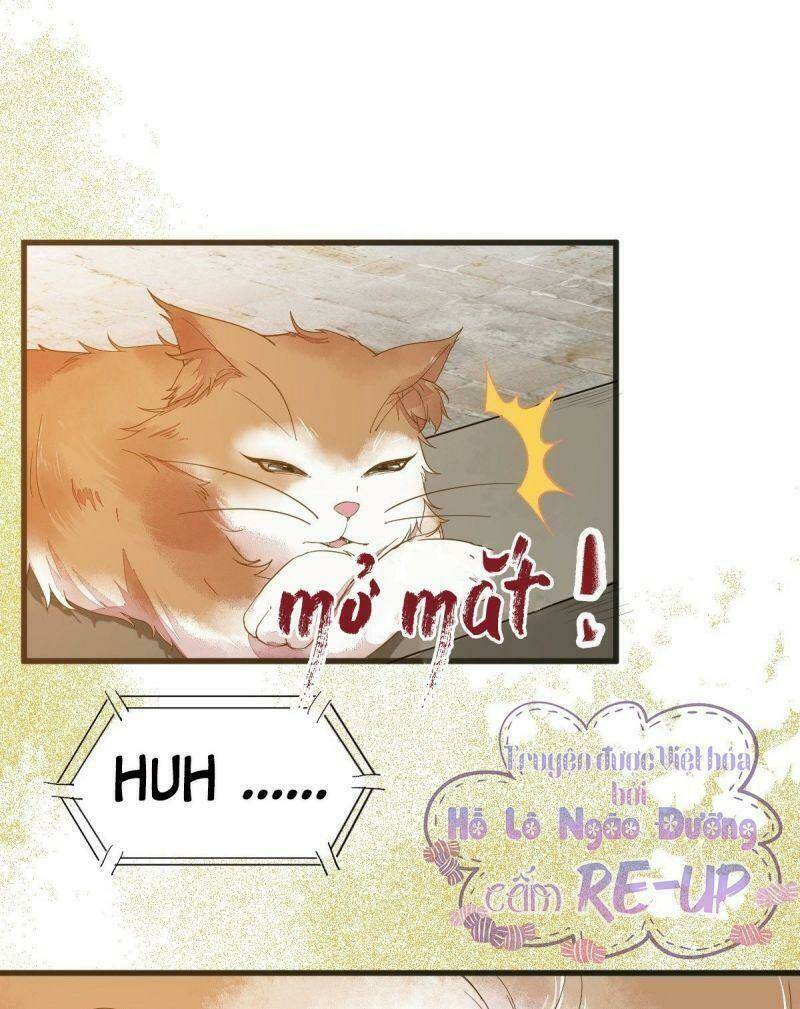 sát thủ vương phi không dễ chọc chapter 32 3