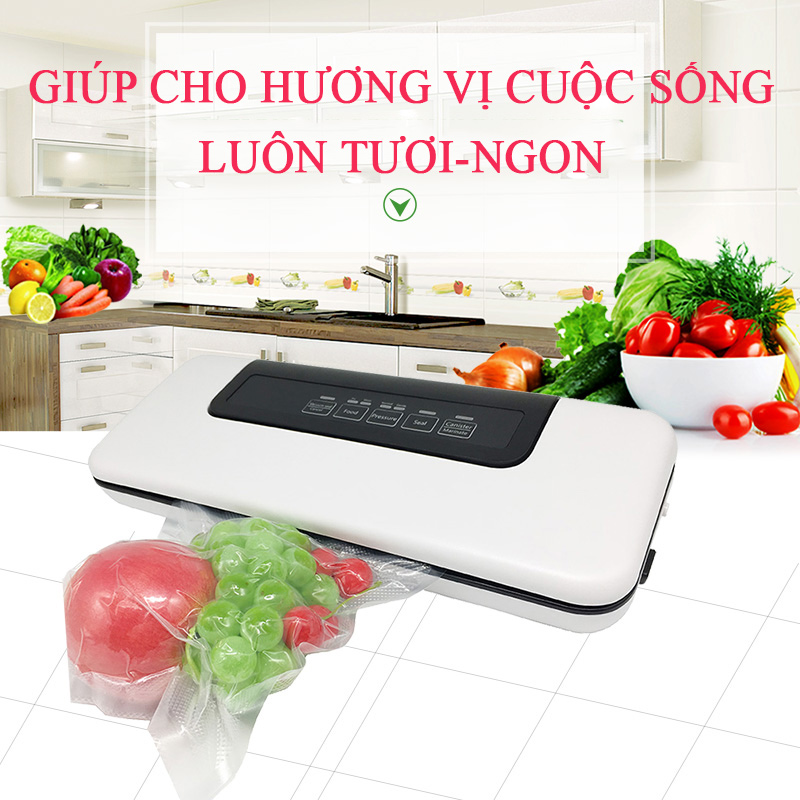 Máy Hút Chân Không Dành Cho Gia Đình W300 Đầy Đủ Mọi Tính Năng Cao Cấp Gọn Nhẹ