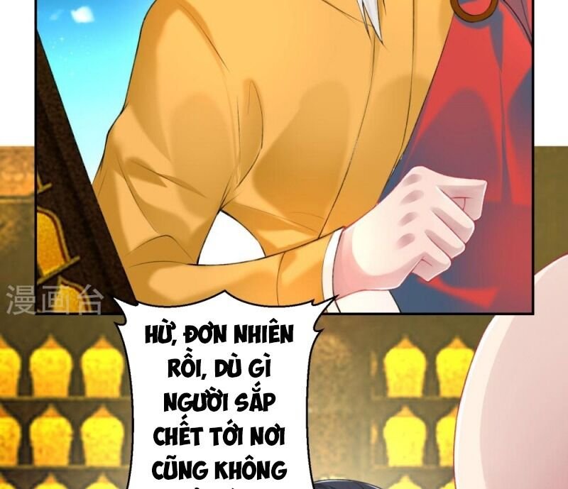 vương gia, áo lót của ngươi rơi mất rồi chapter 56 27