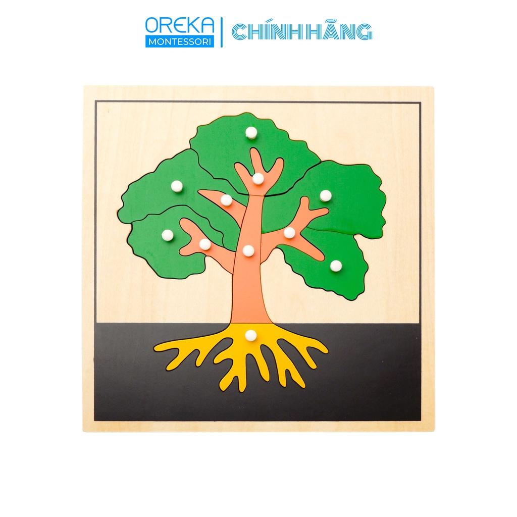 Đồ chơi trẻ em Oreka Montessori Ghép hình thực vật: Cây - 0610300