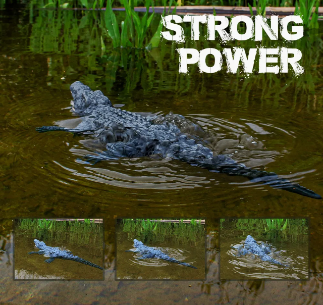 Cá Sấu Xanh Ghi-Nê Điều Khiển Từ Xa Croc Under Toy