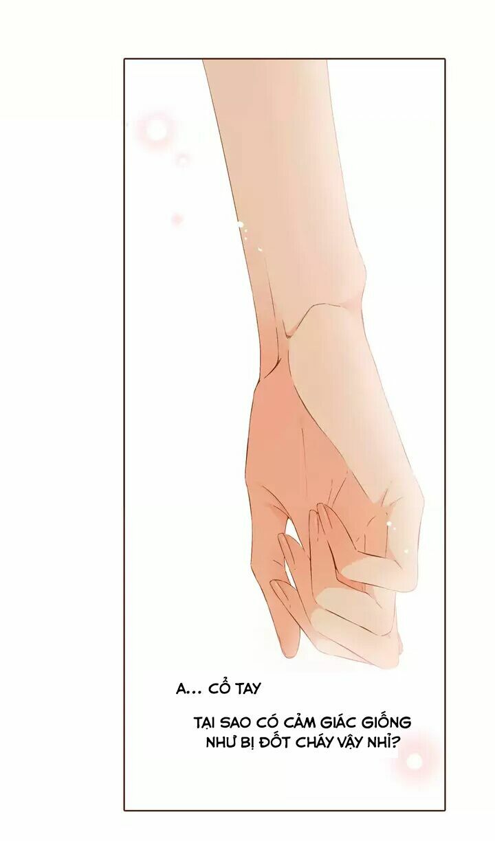 Tình yêu là màu hoa anh thảo chapter 29.3 10