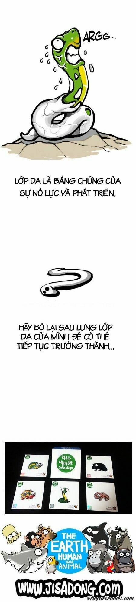 earth, human, and animal chapter 4 16