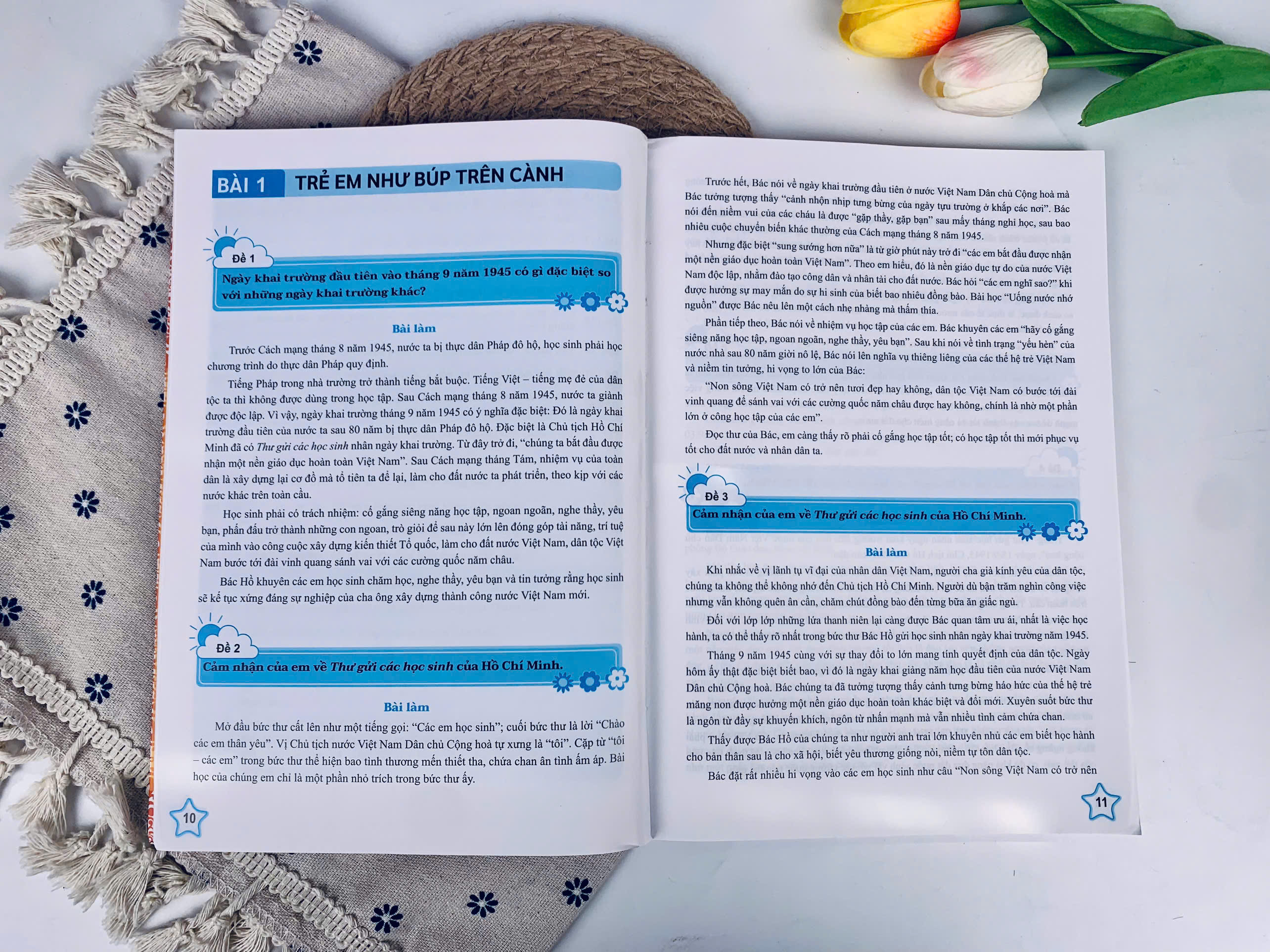 Sách - Những Bài Làm Văn Mẫu Lớp 5 - Cánh Diều - ndbooks