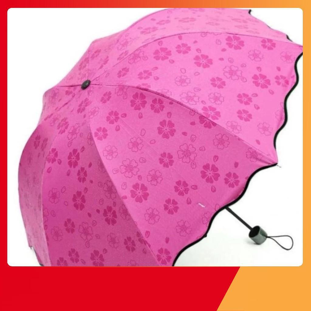 Dù đi mưa gặp nước tự động nở hoa nhiều màu