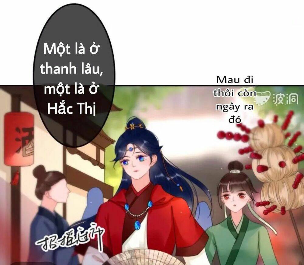 sủng phi của vương chapter 44.4 11