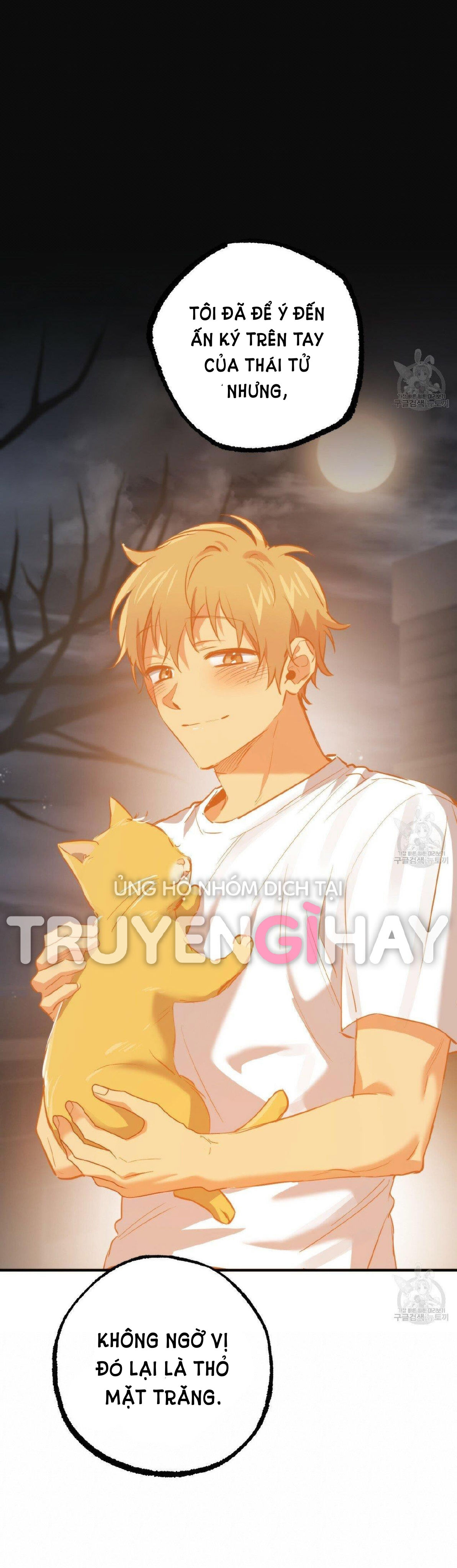 những chú thỏ của hapypy chapter 52.2 13