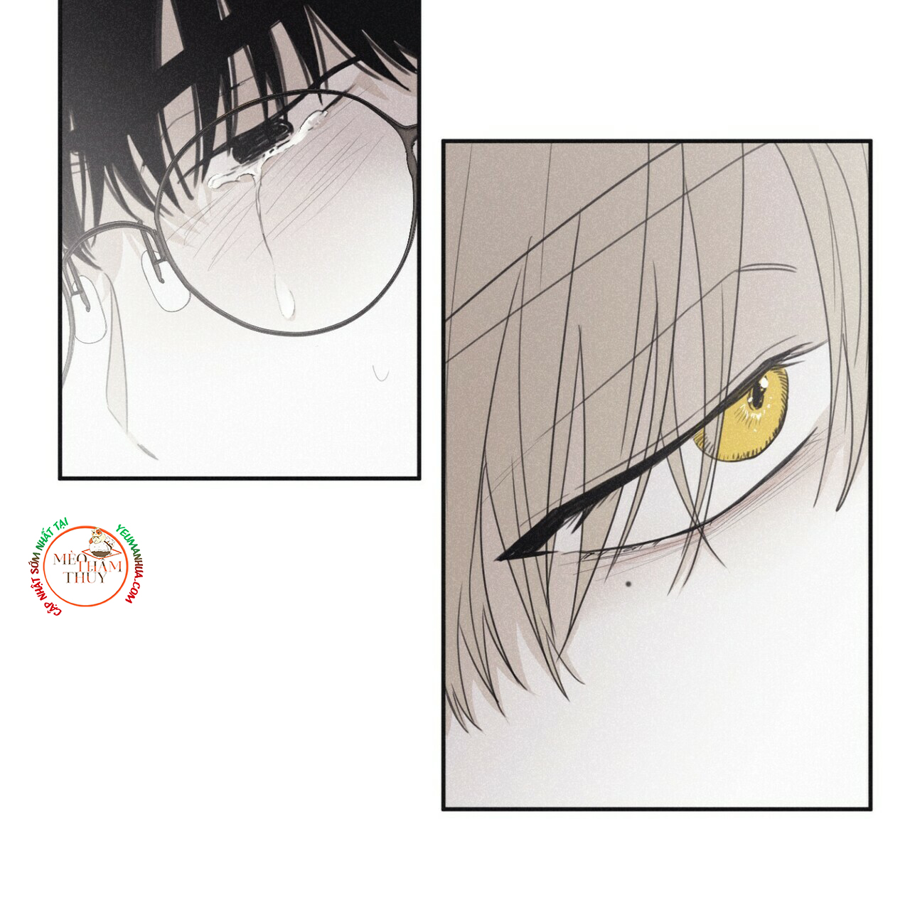 chiếu tướng chapter 44 111