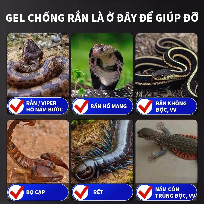 Mười năm không có rắn thuốc đuổi rắn đuổi rắn bột đuổi rắn 100g Thích hợp cho cắm trại ngoài trời, câu cá, v.v