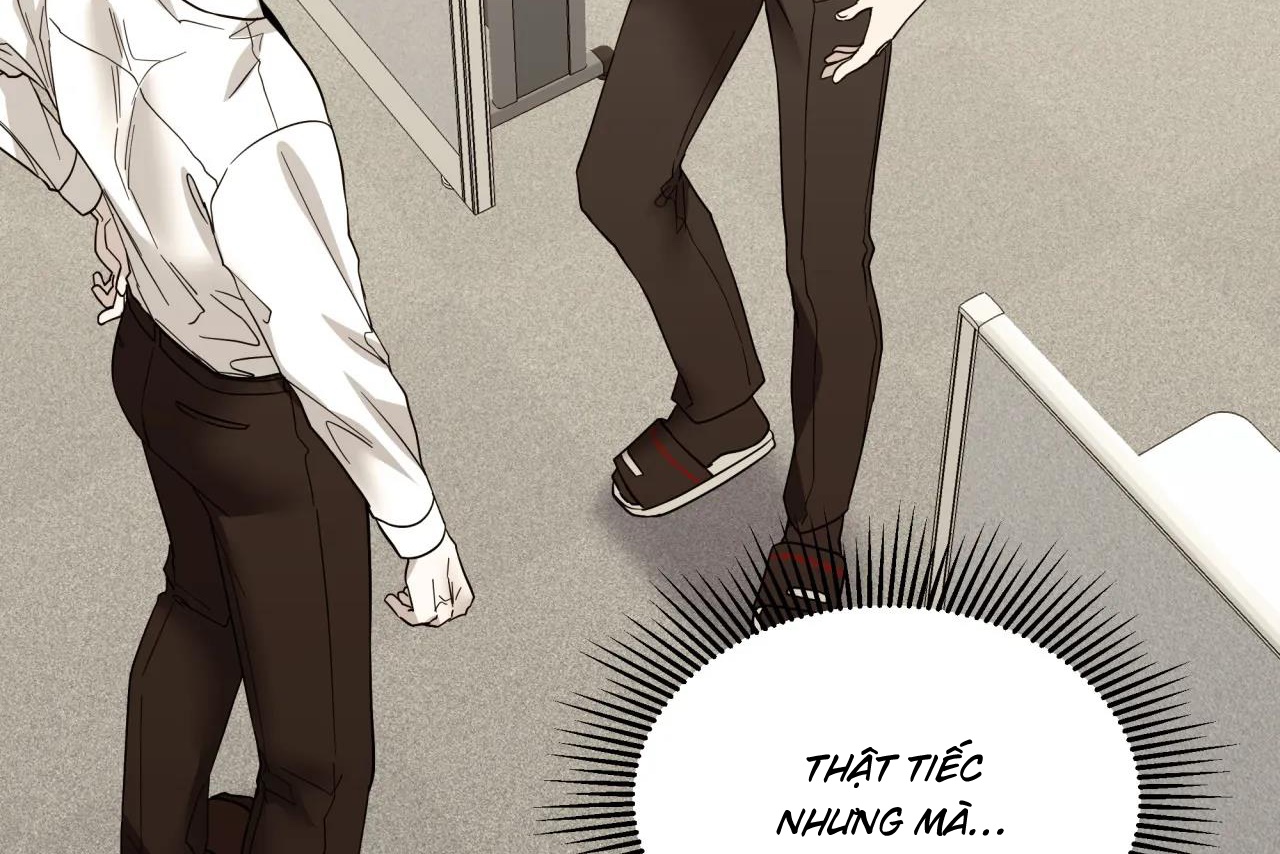 ám ảnh pheromone chapter 58 87