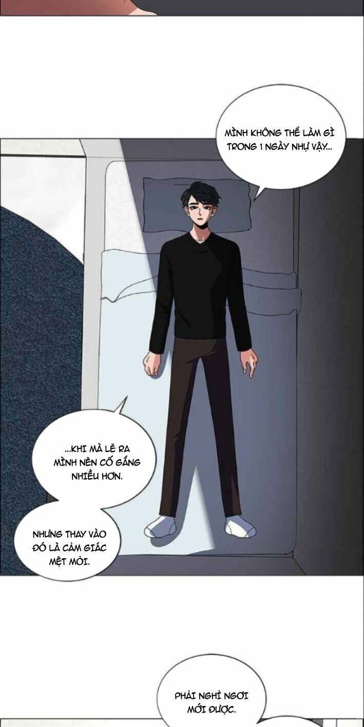 no scope chapter 115 13