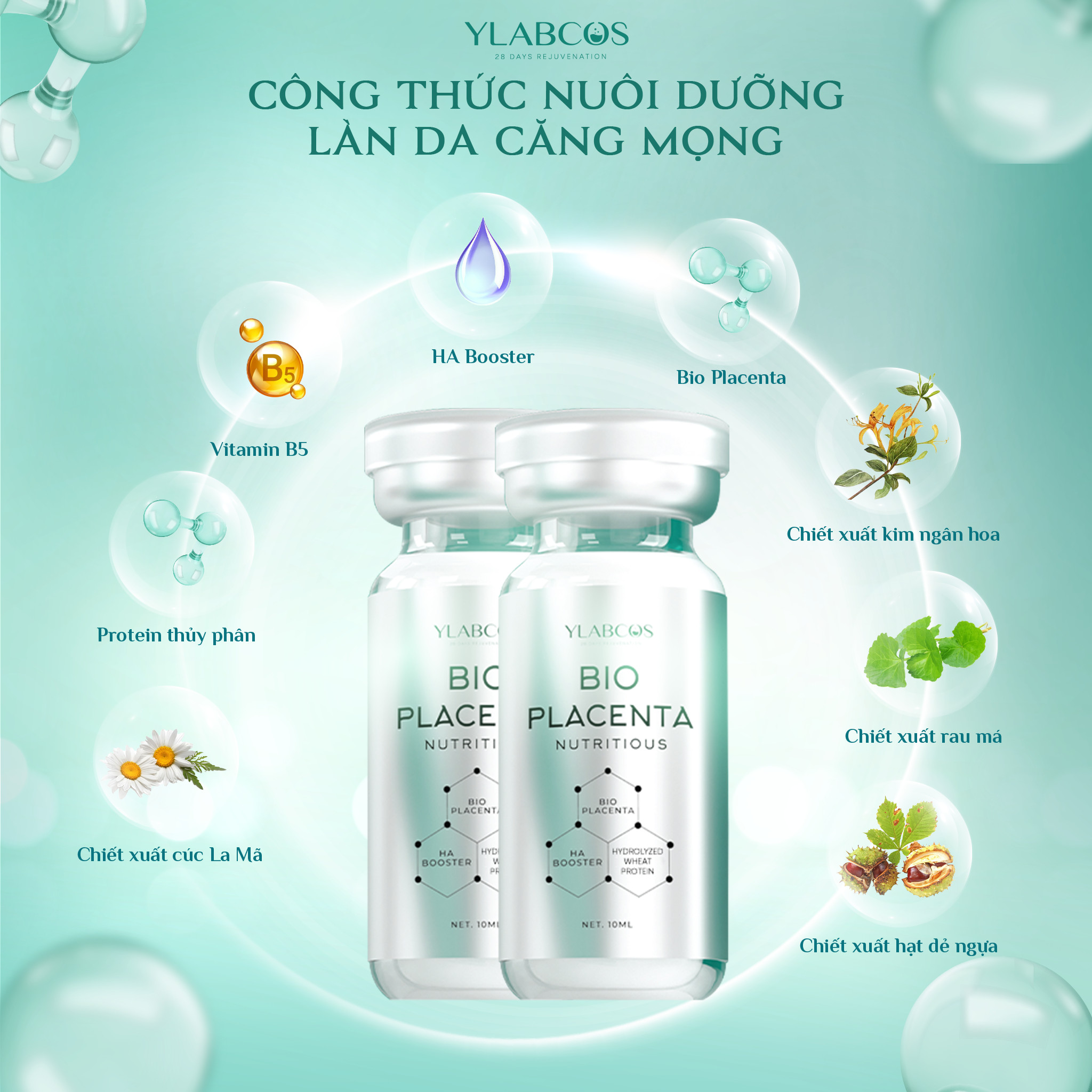 Huyết Thanh Siêu Phục Hồi- Bio Placenta Ylabcos