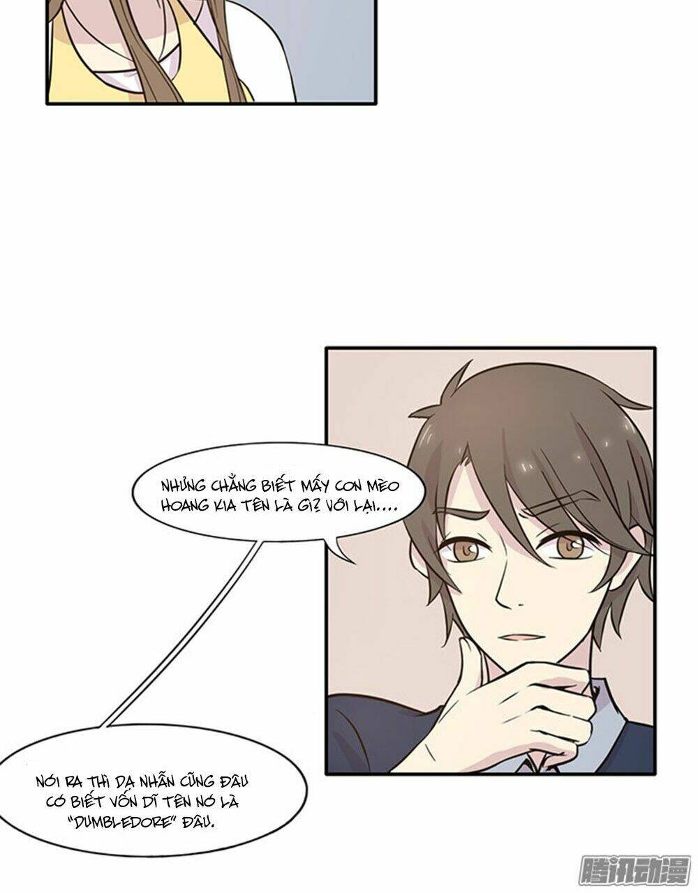 hai chú mèo totem chapter 16 4