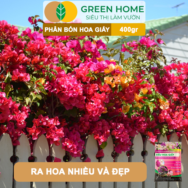 Phân Bón Hoa Giấy GreenHome, Bao 400gr, Hữu Cơ, Ra Bông Nhiều, Lâu Tàn, Giúp Thân Cứng Cáp, Tạo Tán