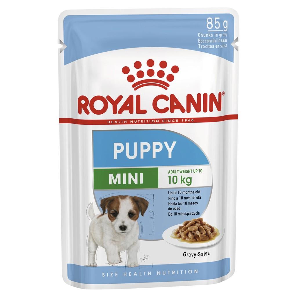Pate Royal Canin Mini Puppy Cho Chó Con Giống Nhỏ